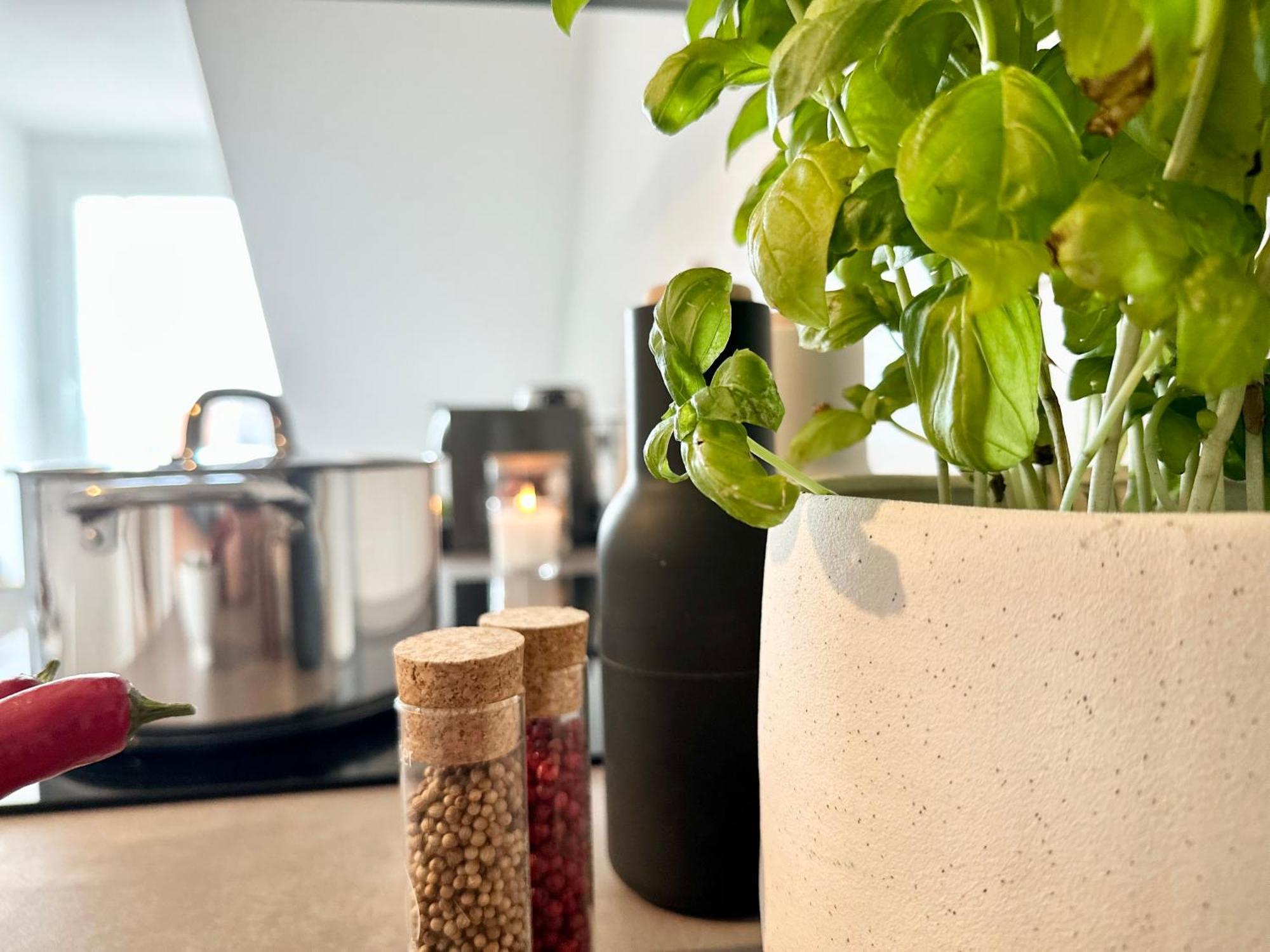 Mystay - Zentral - Design - Prime - Kueche 하이델베르크 외부 사진